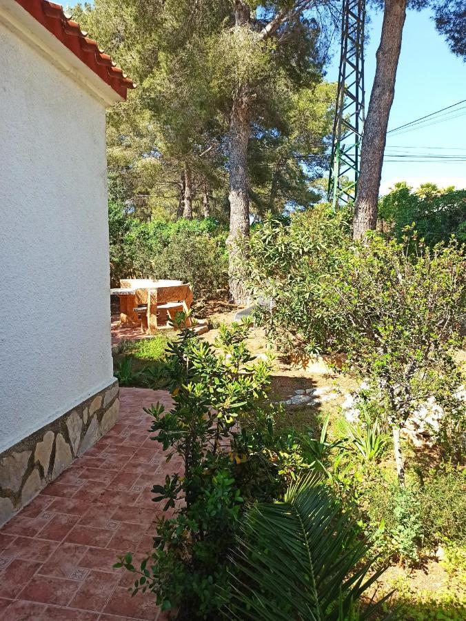 Javea Villa El Nido 10-15P Pool Minimaal 10 Nachten Geen Groep Jongelui エクステリア 写真